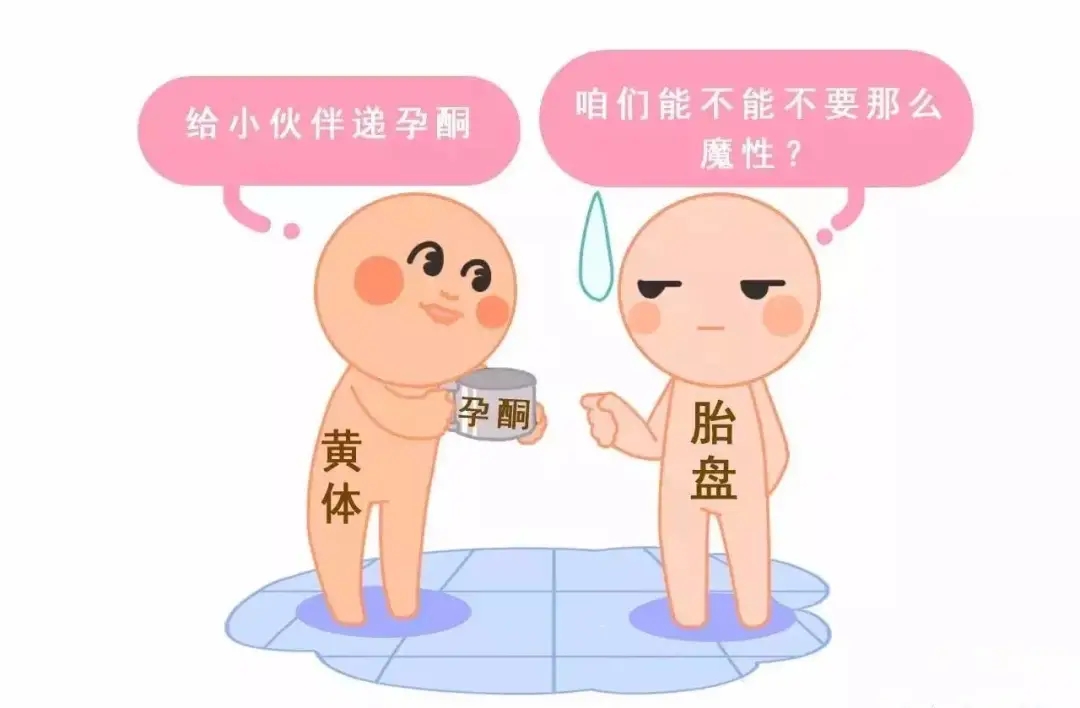 HCG和孕酮低一定會(huì)流產(chǎn)？備孕女性必須知道的孕早期“秘密”